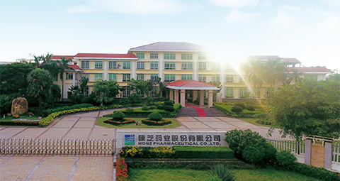 科學(xué)專研·創(chuàng)新引領(lǐng)